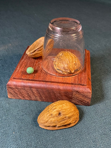 Jeu des coquilles de noix lors d’une animation de jeux de triche